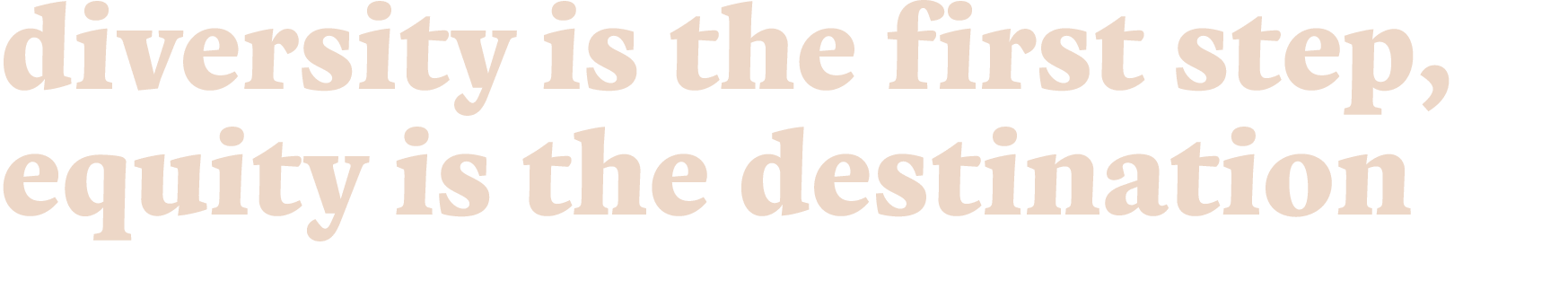 diversity is the first step, equity is the destination