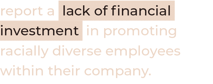 report a lack of financial investment in promoting racially diverse employees within their company 
